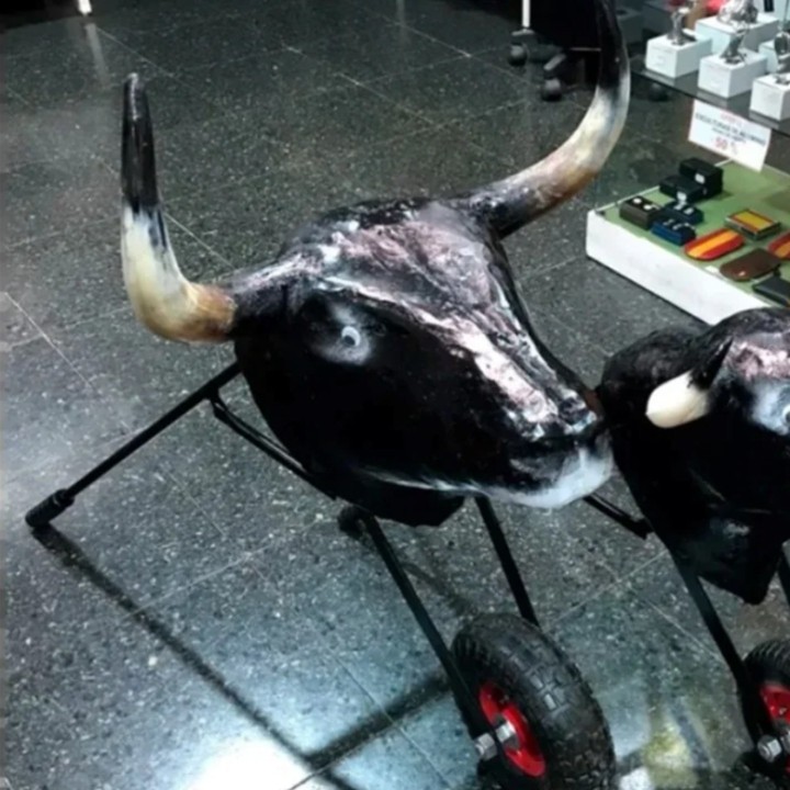 Charrette d'entrainement de torero pour enfants