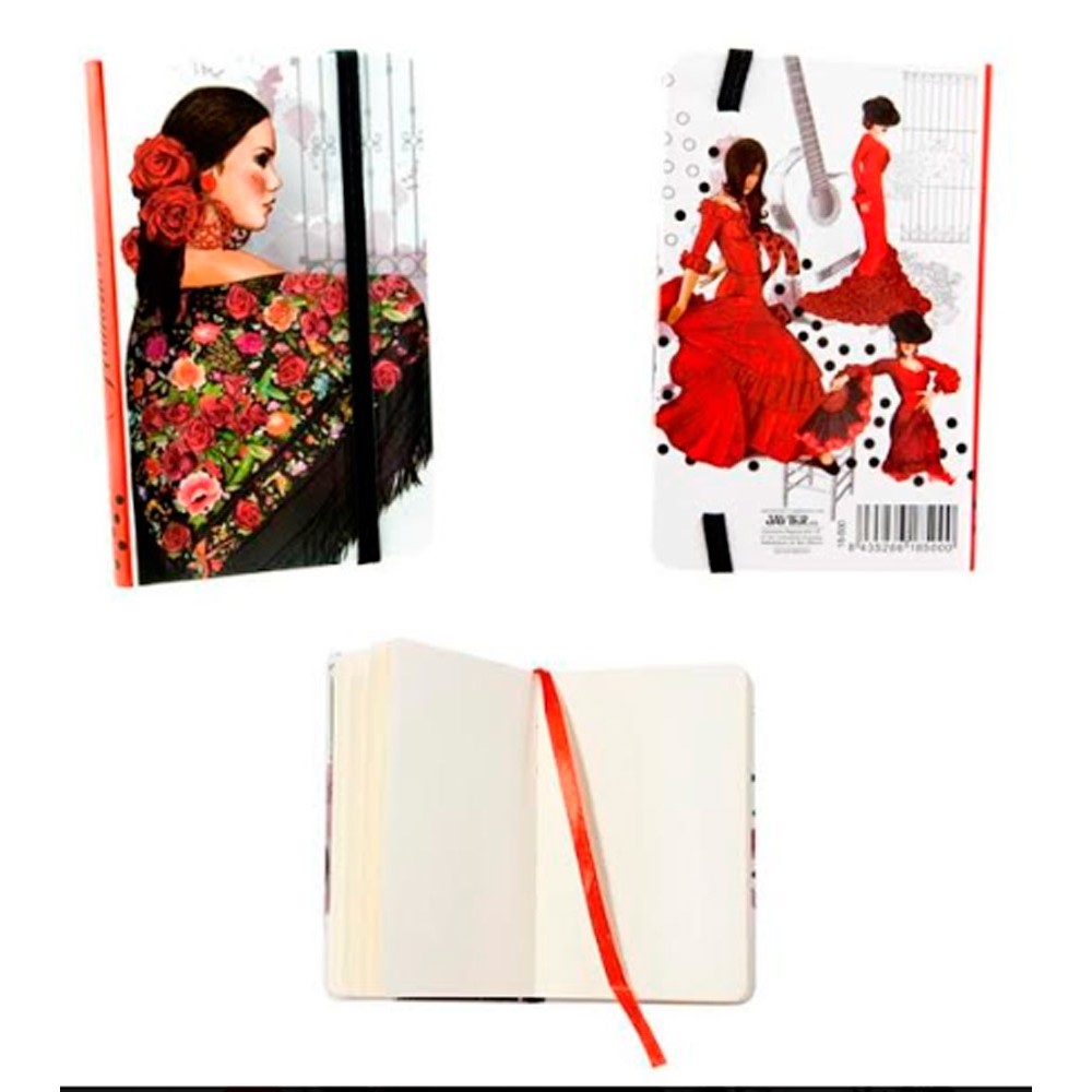 Cahier notes "Le danseur de flamenco"