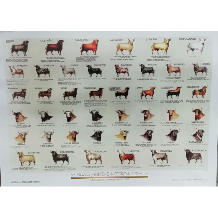 Bulls hairs and spots Poster