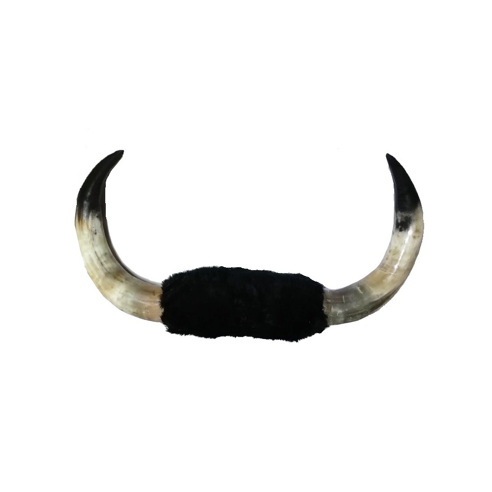 Bull horns for Training