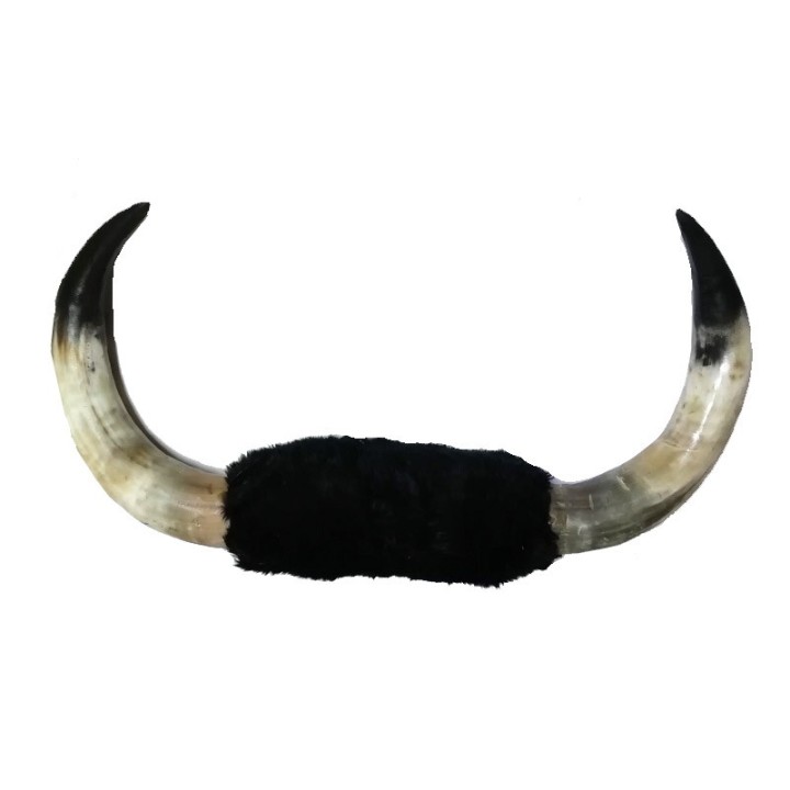 Cuernos de asta de toro para Entreno