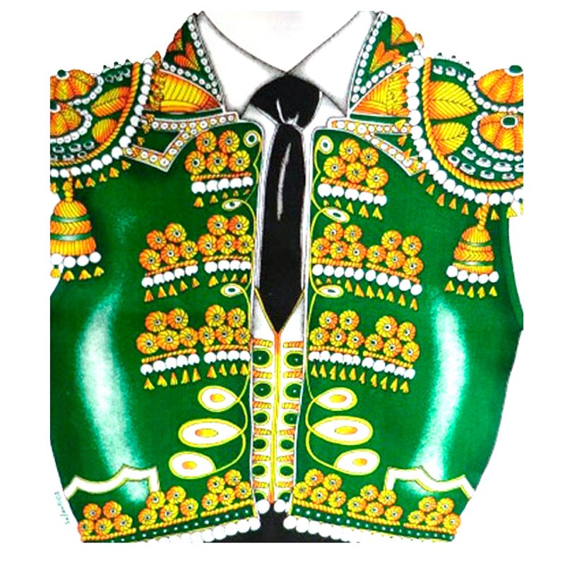 "Bullfighter's suit" kitchen apron green