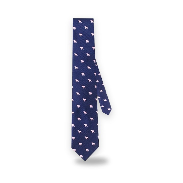 Toreritos bullfighting tie with bull – view 12