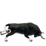 Taureau de combat jouet en charge, robe calcetero