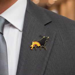 Bullfighting and Spain Pins, bulls, flag  souvenirs online in ZiNGS.