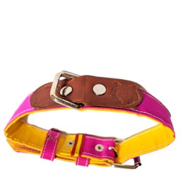 Collier pour animaux de compagnie « Capote »