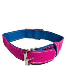 "Capote" Pet Collar