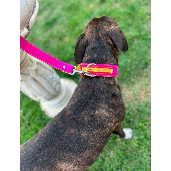 Collare per cani in tessuto da capote, fucsia e giallo – vista 2