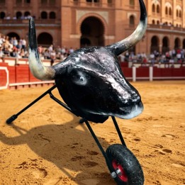Cadet bullfighting training bogie