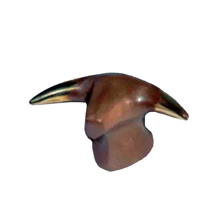 Astas Bronce 