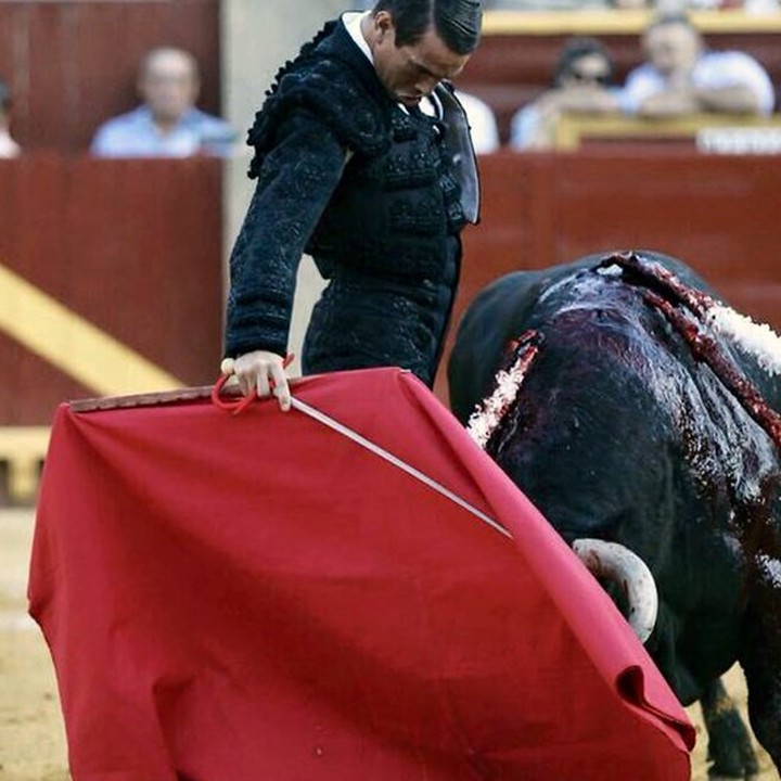 Rote Profi-Muleta im Einsatz bei einer Faena in der Arena