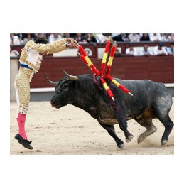 Torero poniendo un par de banderillas al toro. Stock Photo