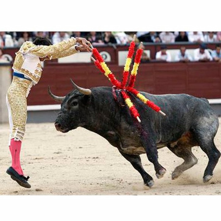 Banderillas da lidia professionali – vista 7