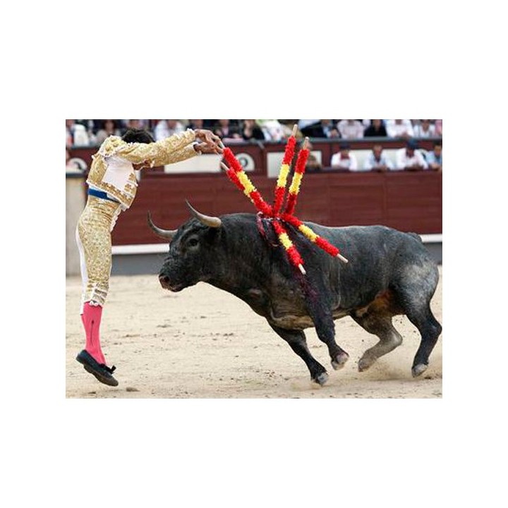 Banderillas de Lidia profesional