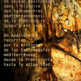 Libro Tauromaquias Universales di André Viard con DVD