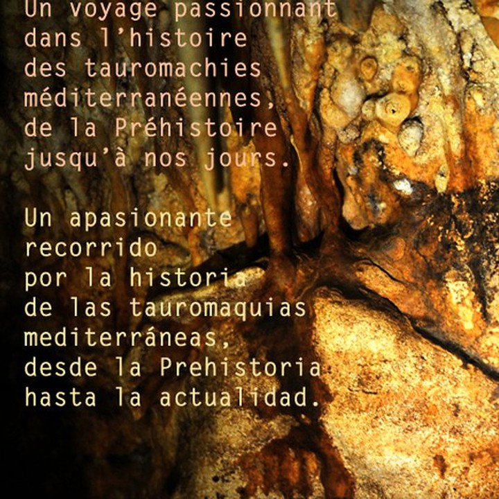 Buch Tauromaquias Universales von André Viard mit DVD