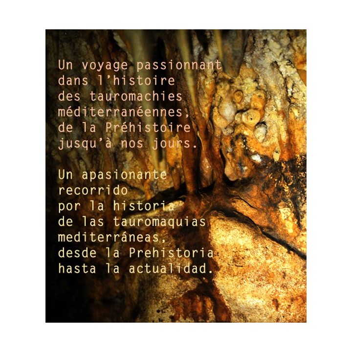 Tauromaquias Universales