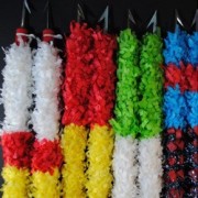 Banderillas de torero