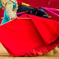 Muleta de torero para niños