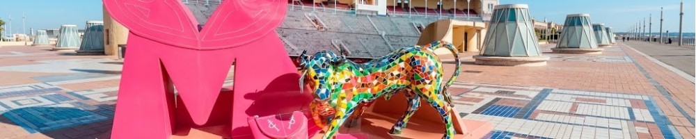 Bullfighting gifts | Ideas for gifts for bullfighting fans in ZiNGS
