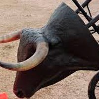 Bullfighting carretones for training torero in ZiNGS