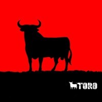 Buy products from the famous Toro de Osborne  in ZINGS Madrid